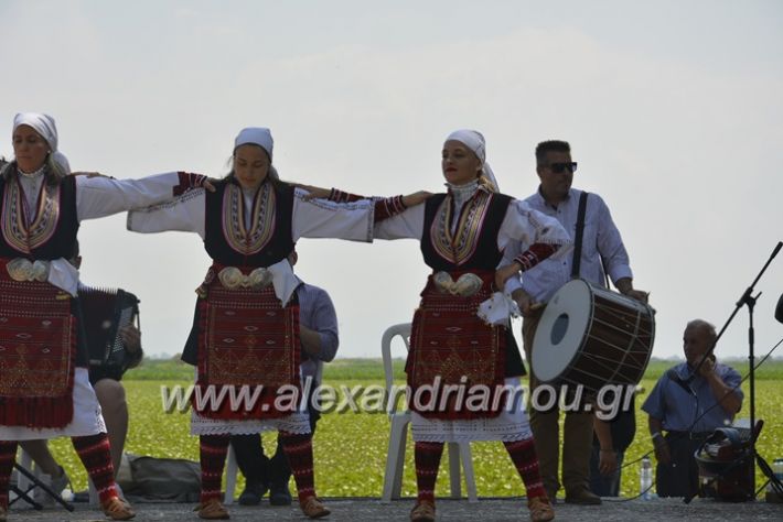 alexandriamou.gr_trikala28.5.2018102